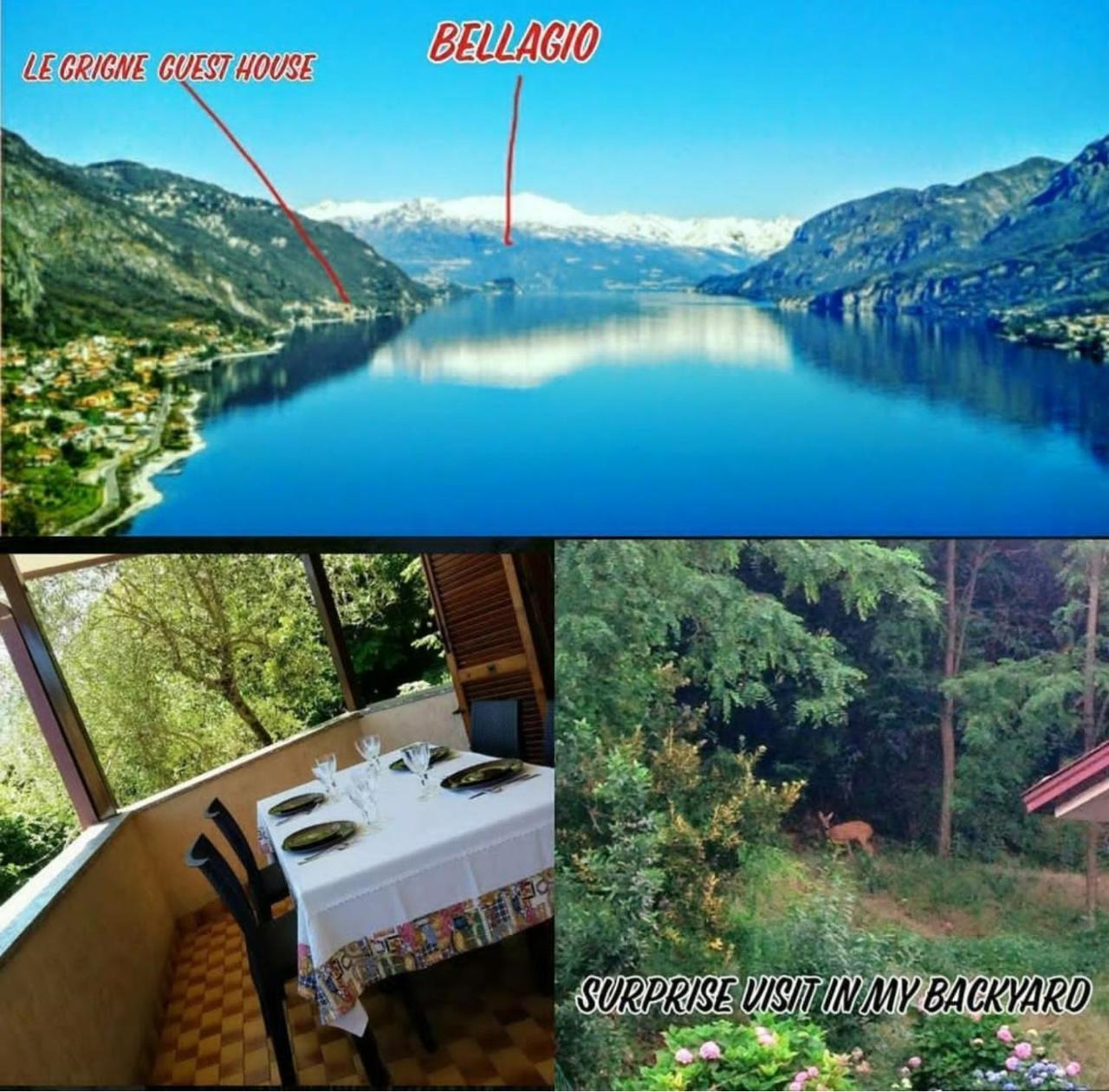 Oliveto Lario Le Grigne Guest House מראה חיצוני תמונה