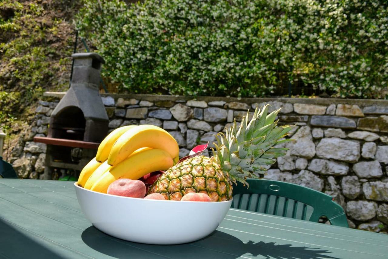 Oliveto Lario Le Grigne Guest House מראה חיצוני תמונה